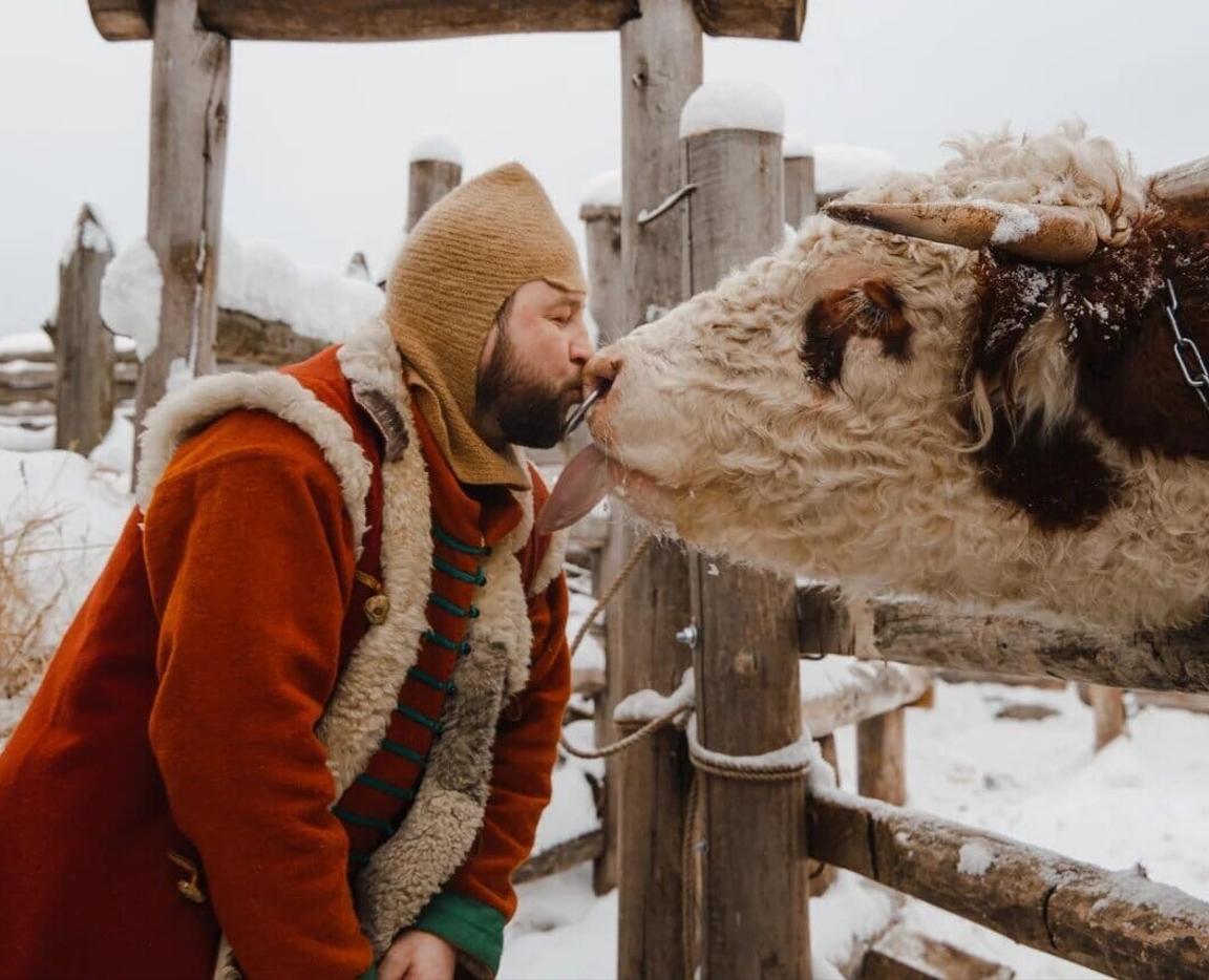 Варяжская дружина
