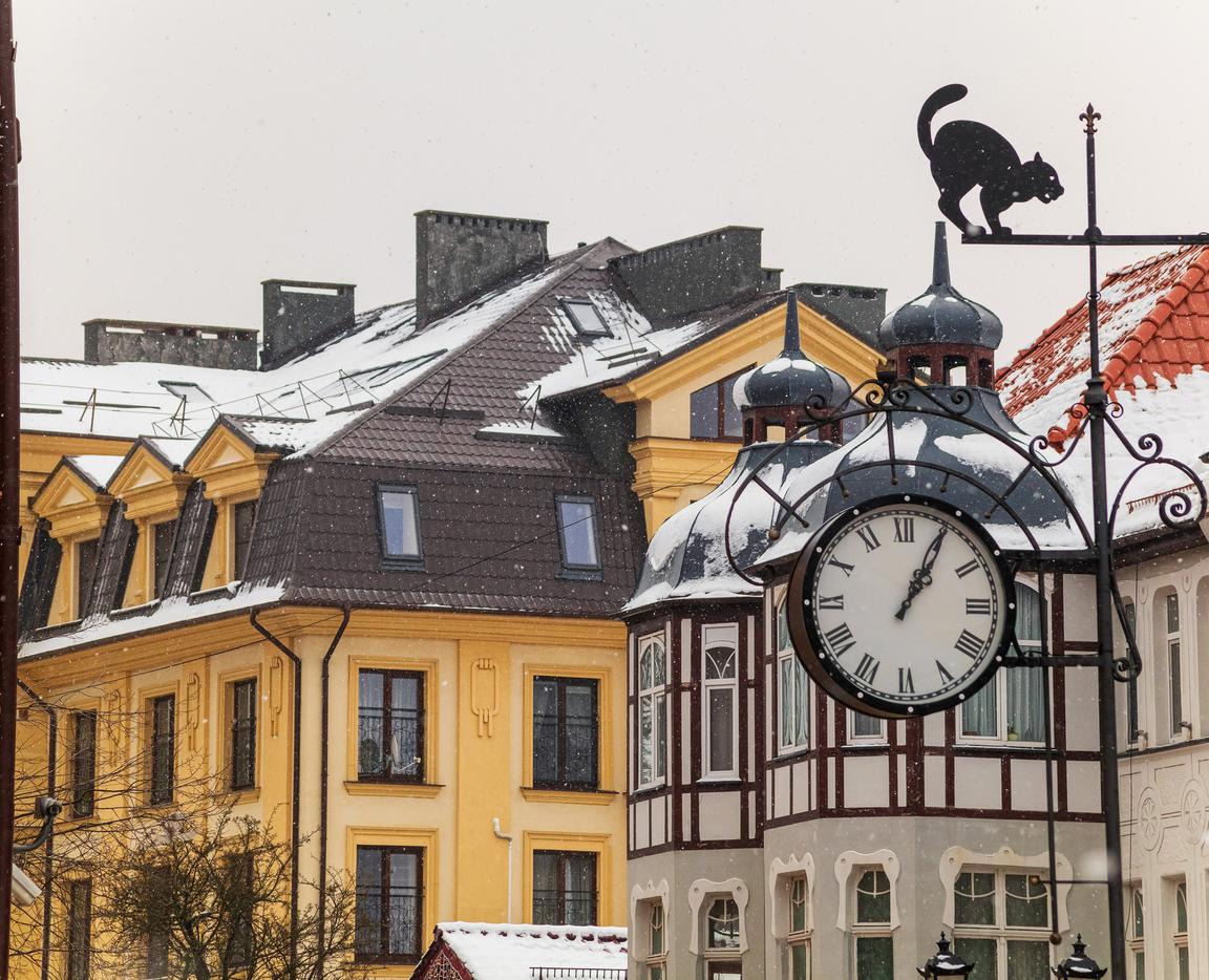 Насыщенная программа