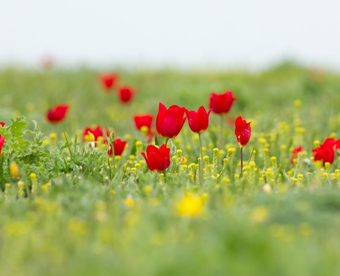 Вдохновляющие просторы