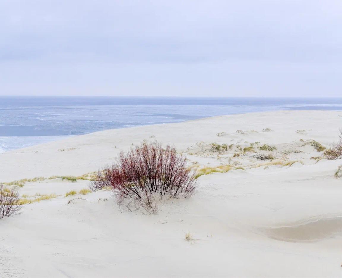 Куршская коса