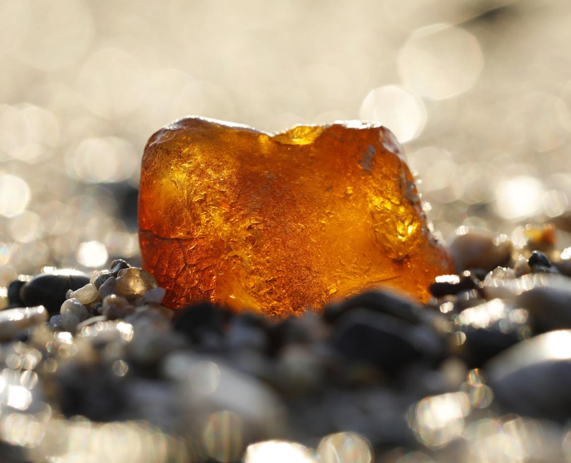 Янтарная сокровищница