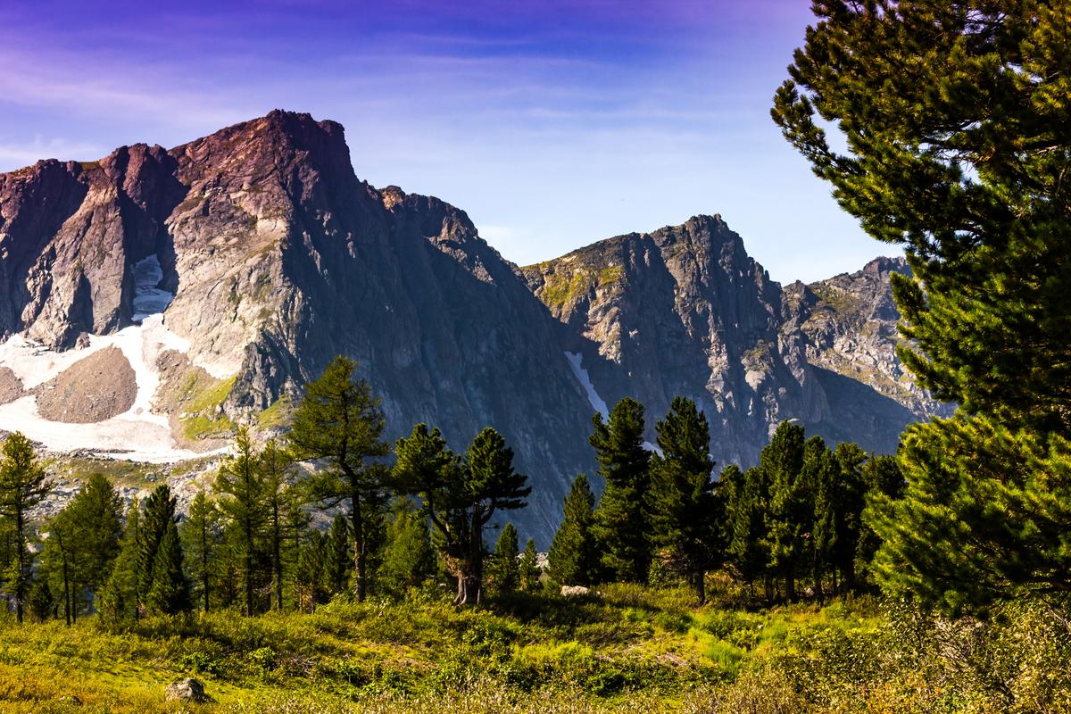 Заповедник Кузнецкий Алатау