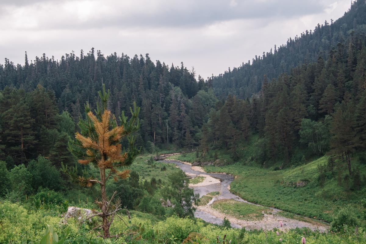 Река впадающая в Курджипс