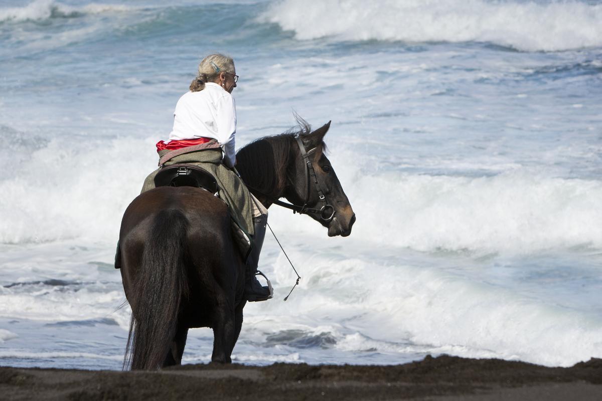 An adult woman riding a horse on the ocean shore