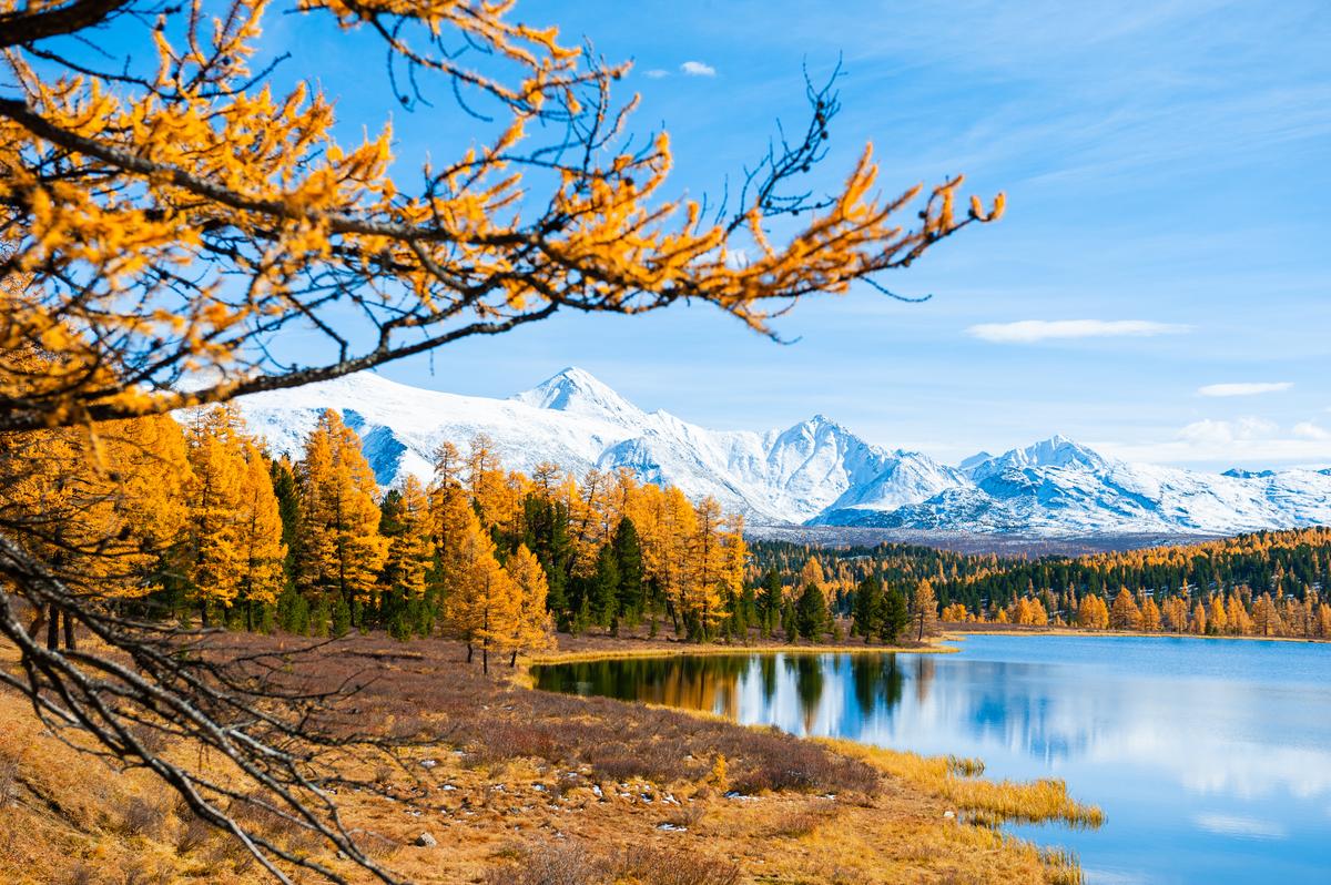 Осенние краски Алтая