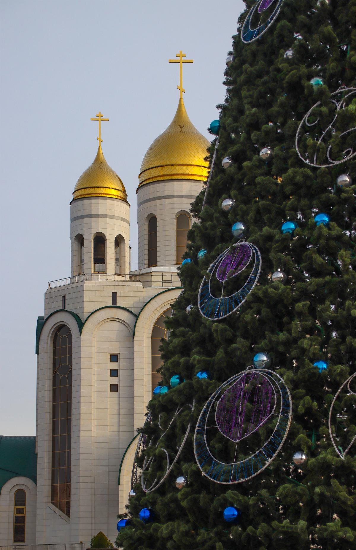 Елка на площади Победы в Калининграде