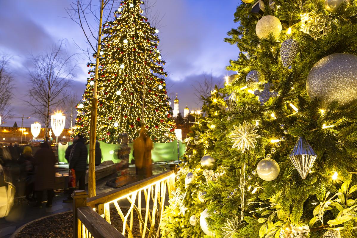 Новогодние украшения в парке Зарядье