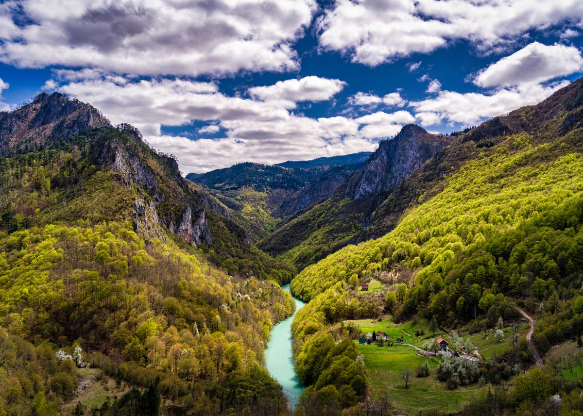 Река Тара в Черногории
