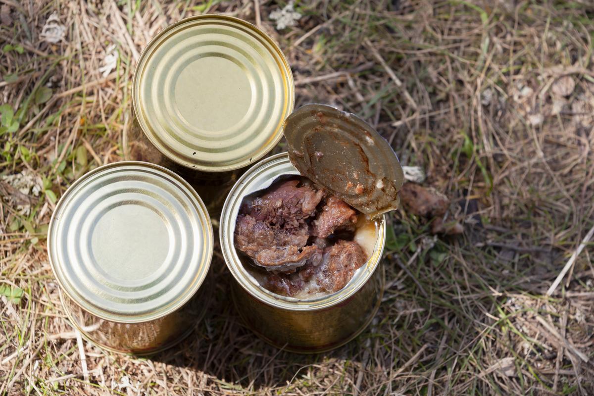 Консервированная говядина на лесном грунте