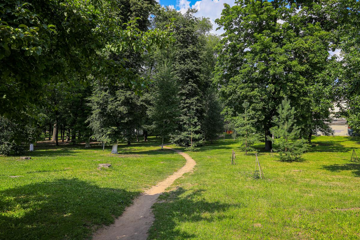 Дорожка в Автозаводском парке, Нижний Новгород