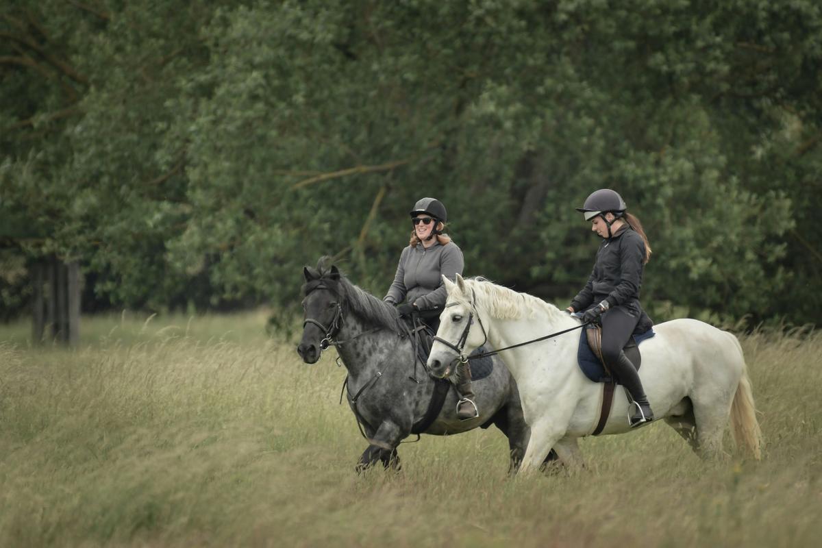 Tourists on Horseback
