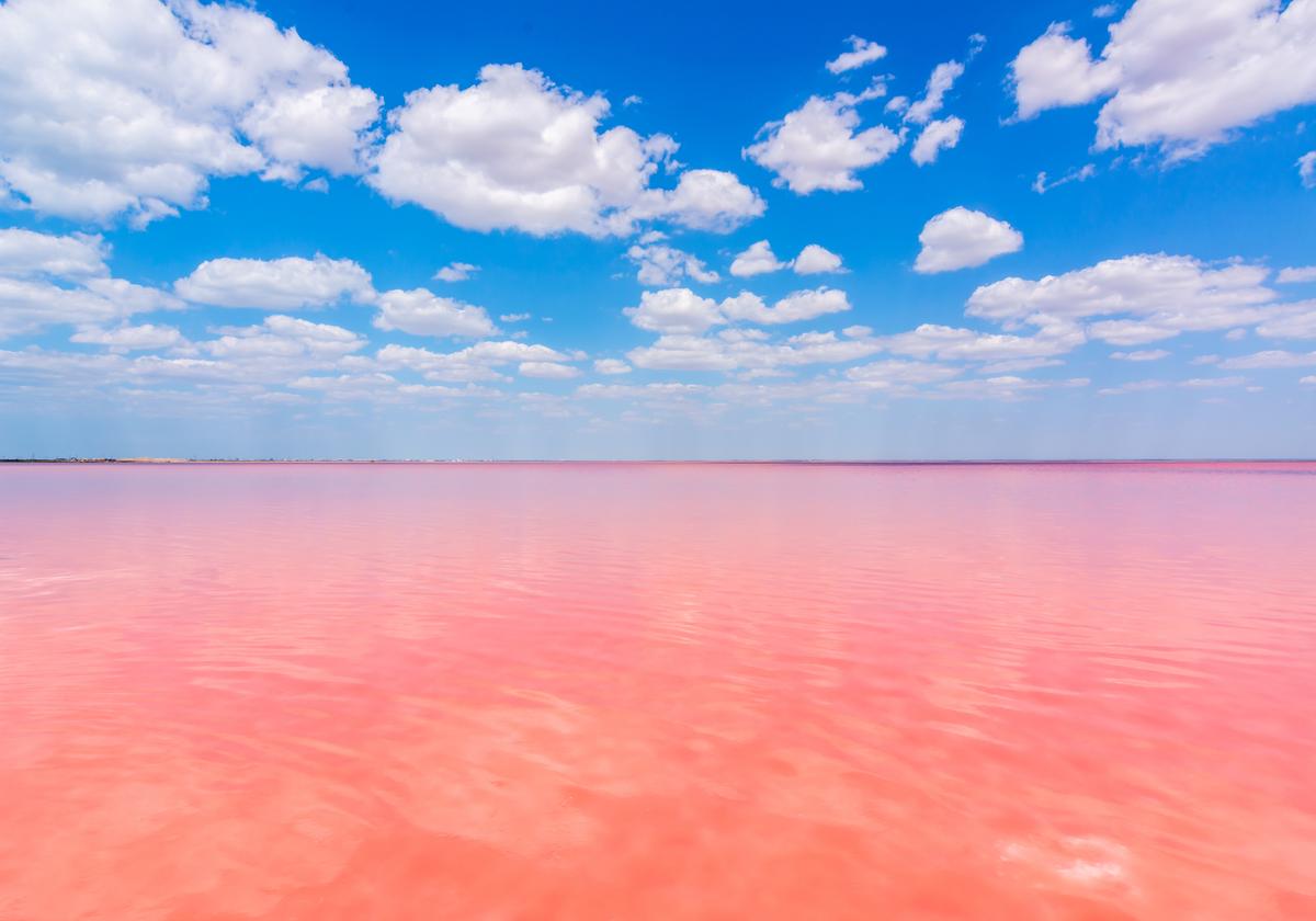 Озеро Сасык с розовой водой