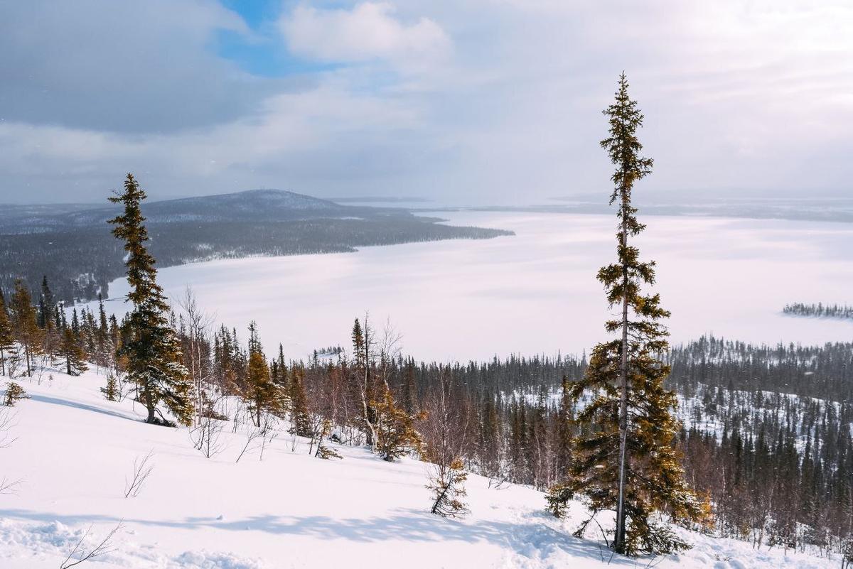 Зимний пейзаж Лапландского заповедника
