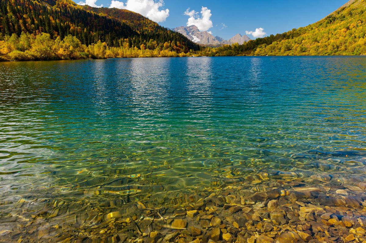 Вода озера Кардывач осенью