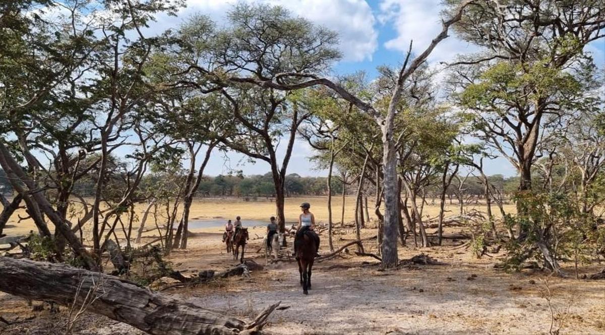 A group of horse riders in Hwange National Park