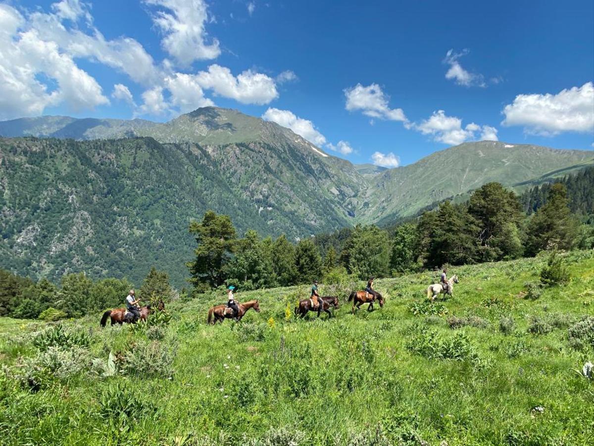 A group of tourists riding horses in the mountains of Bulgaria