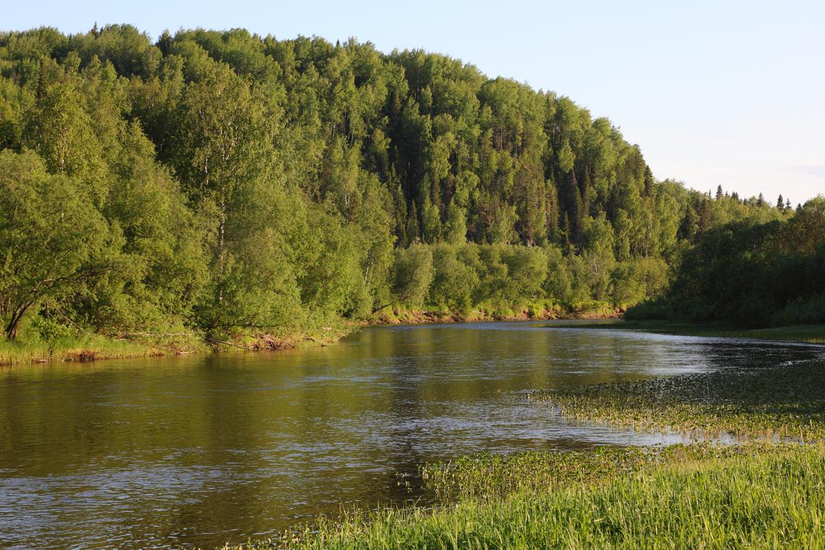 Утро на реке Печора