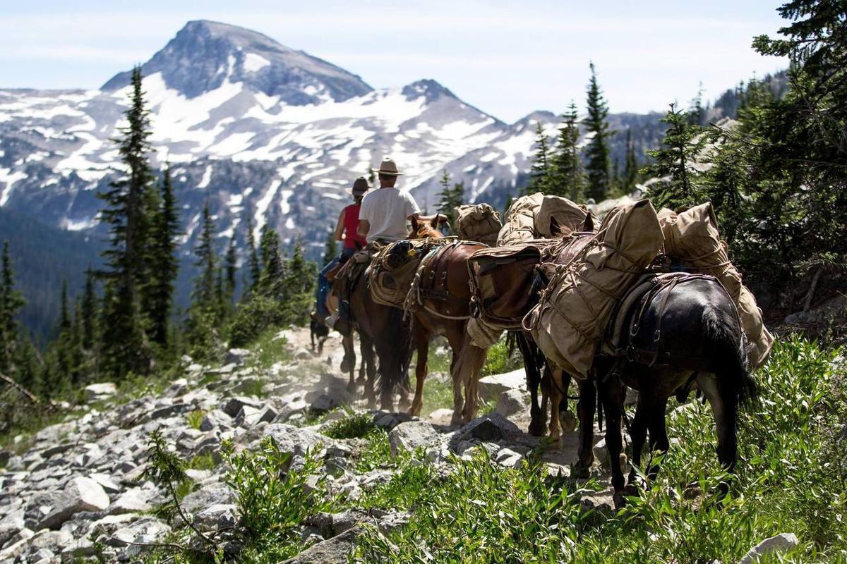 Horseback riding through lush greenery and harsh mountain scenery in the USA