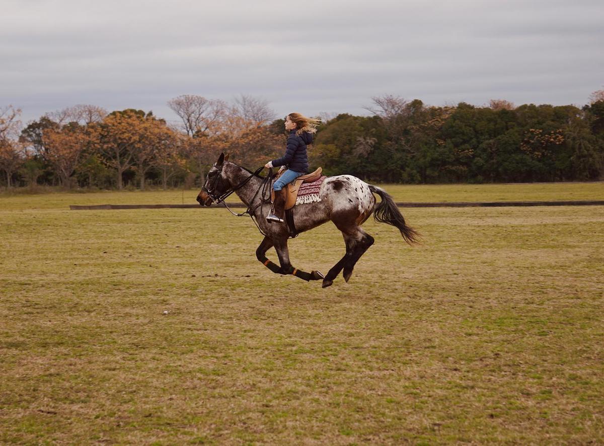 A girl riding a horse in the fields of Argentina