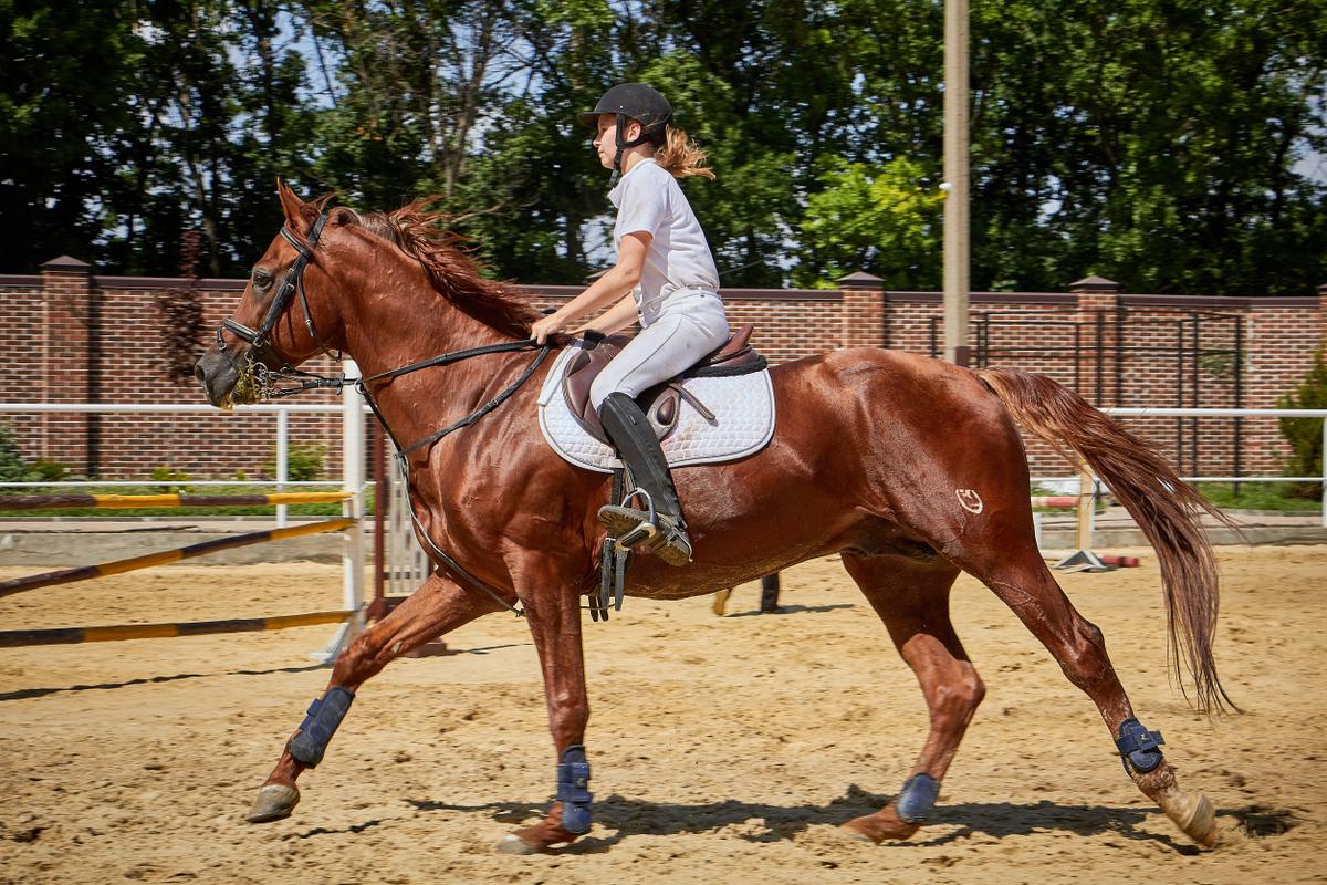 А girl in equestrian training