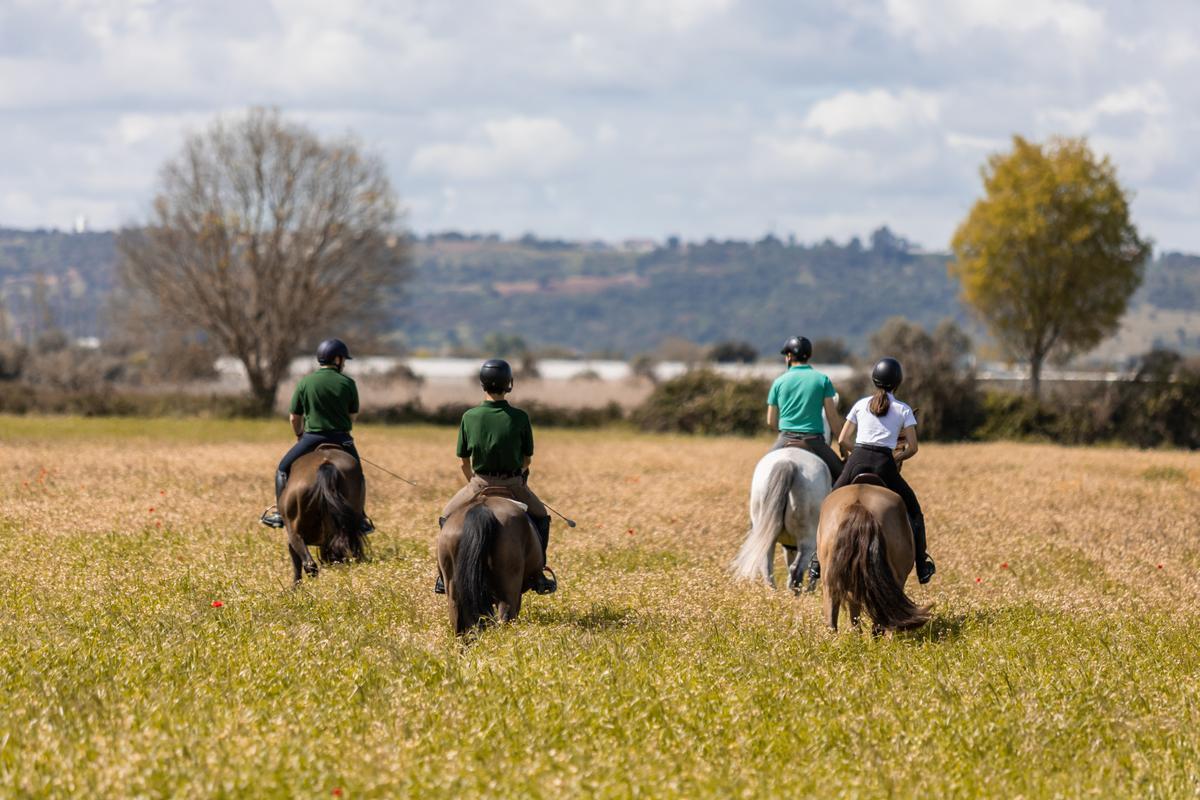 A group of tourists riding horses in a field
