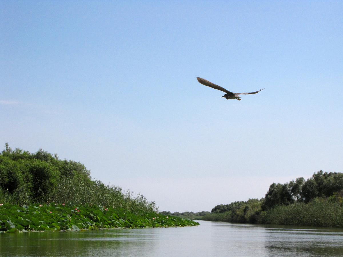 Астраханский заповедник