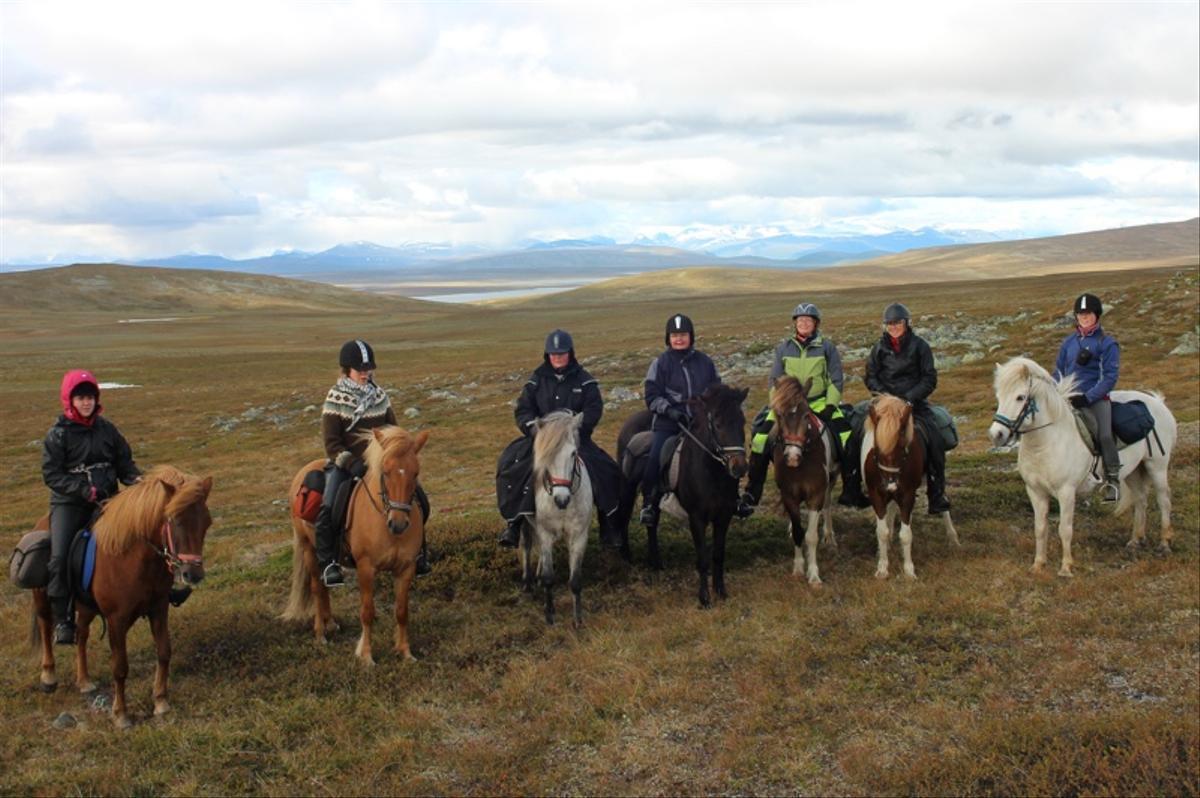 Group riding horses in Sweden