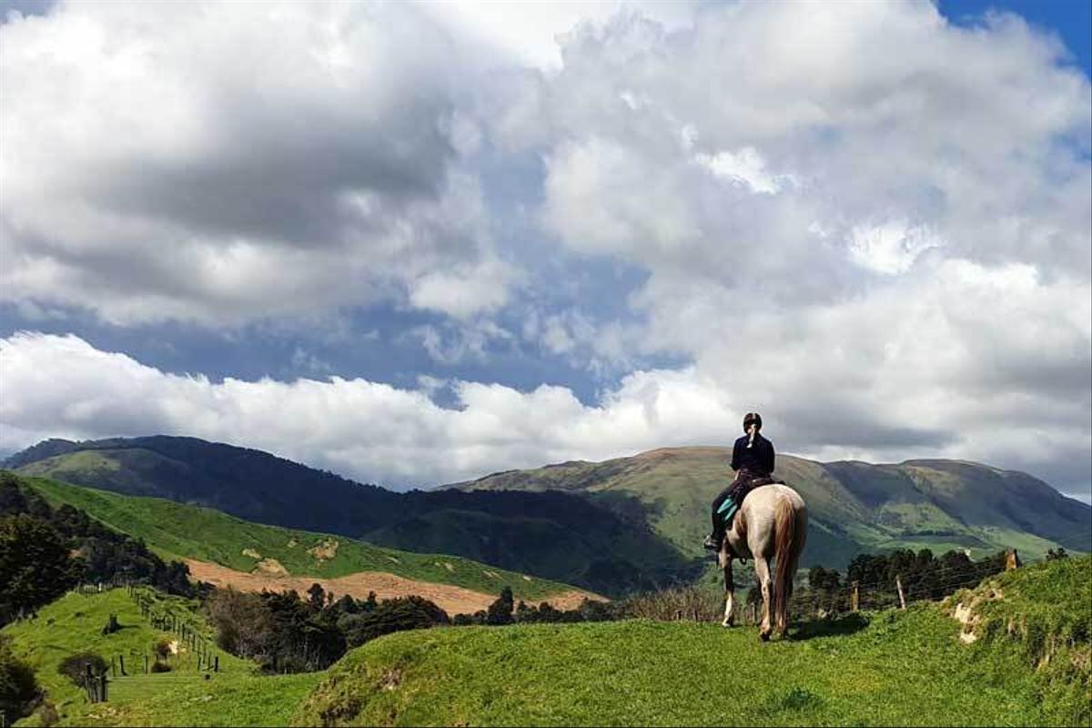 North Island Riding