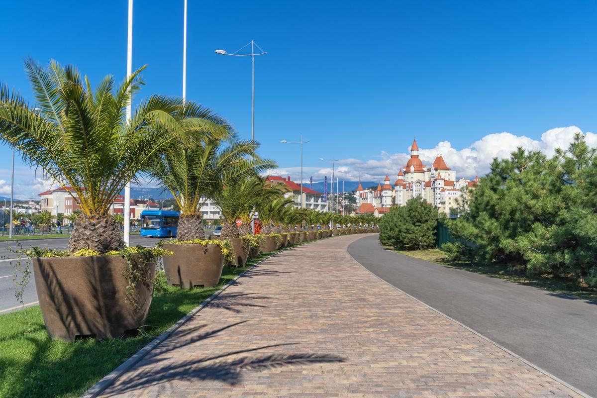 Дорога в Олимпийском парке в Сочи