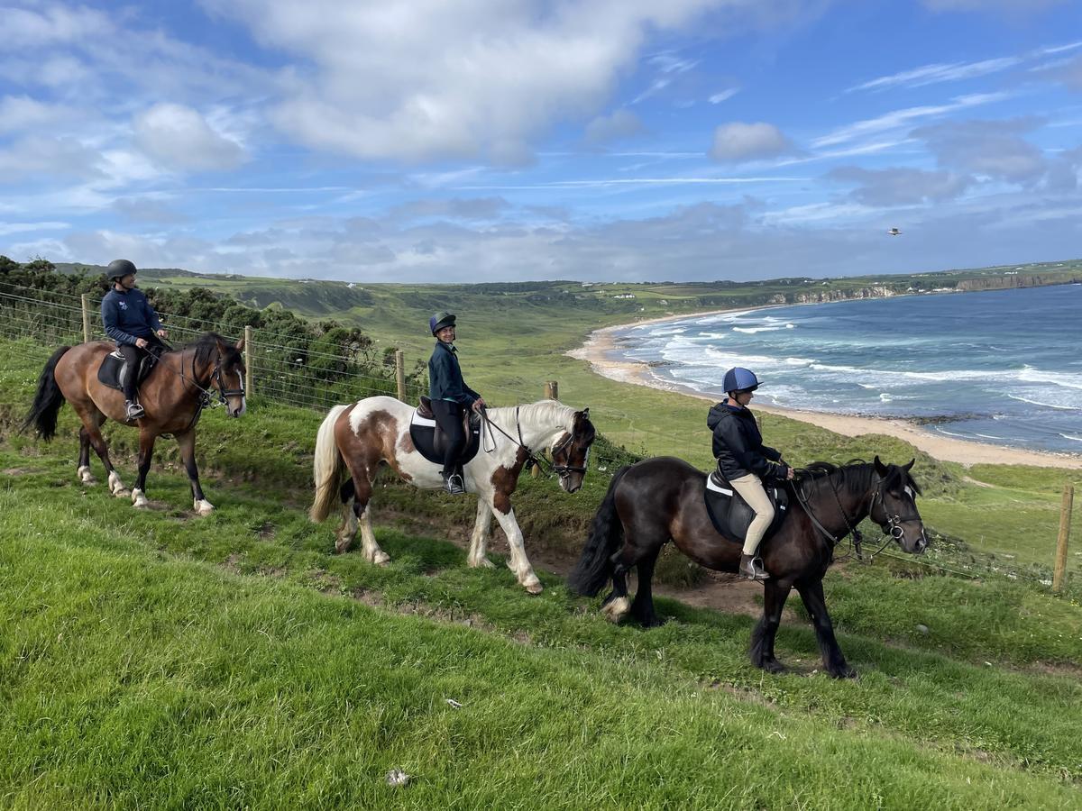A group of tourists on horseback admiring the scenery of Iceland