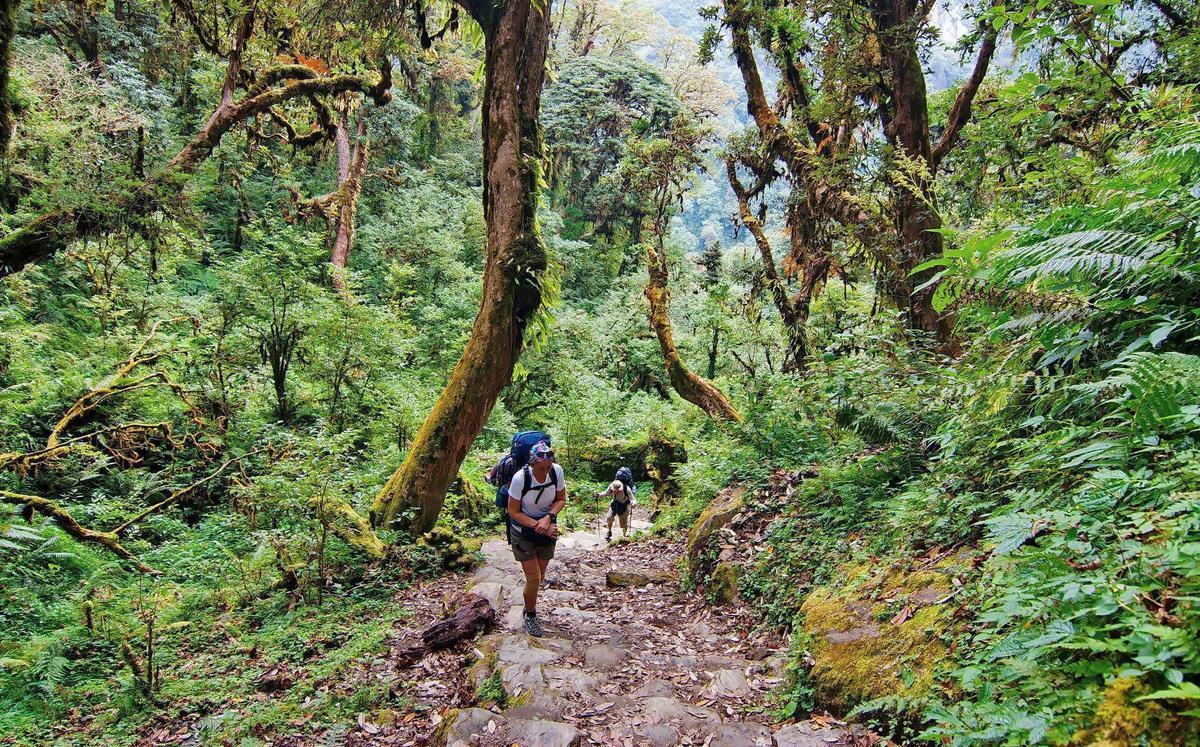 Tourists trekking in Bidoup Nui Ba National Park