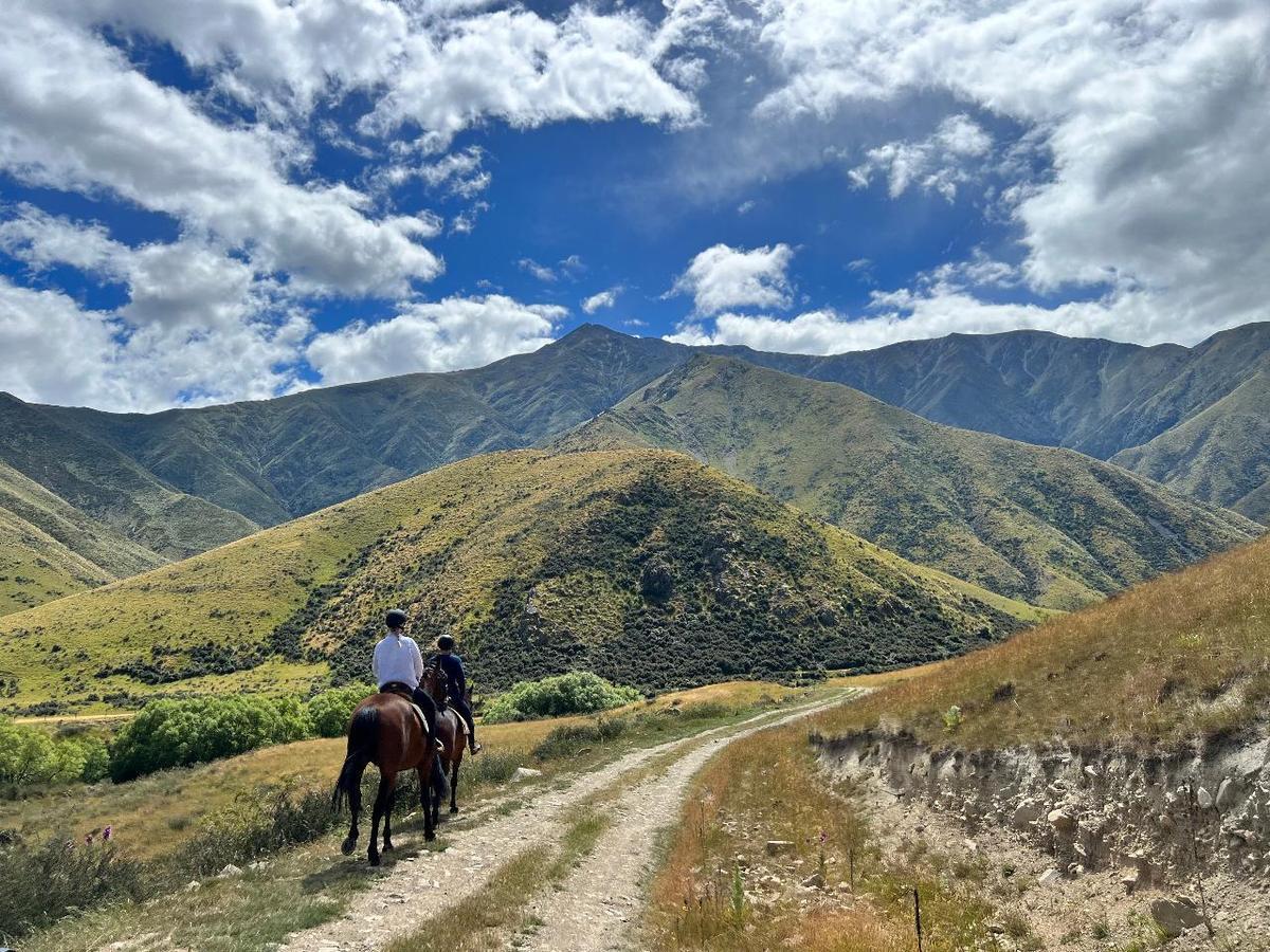 Tourists riding horses in the mountains of New Zealand