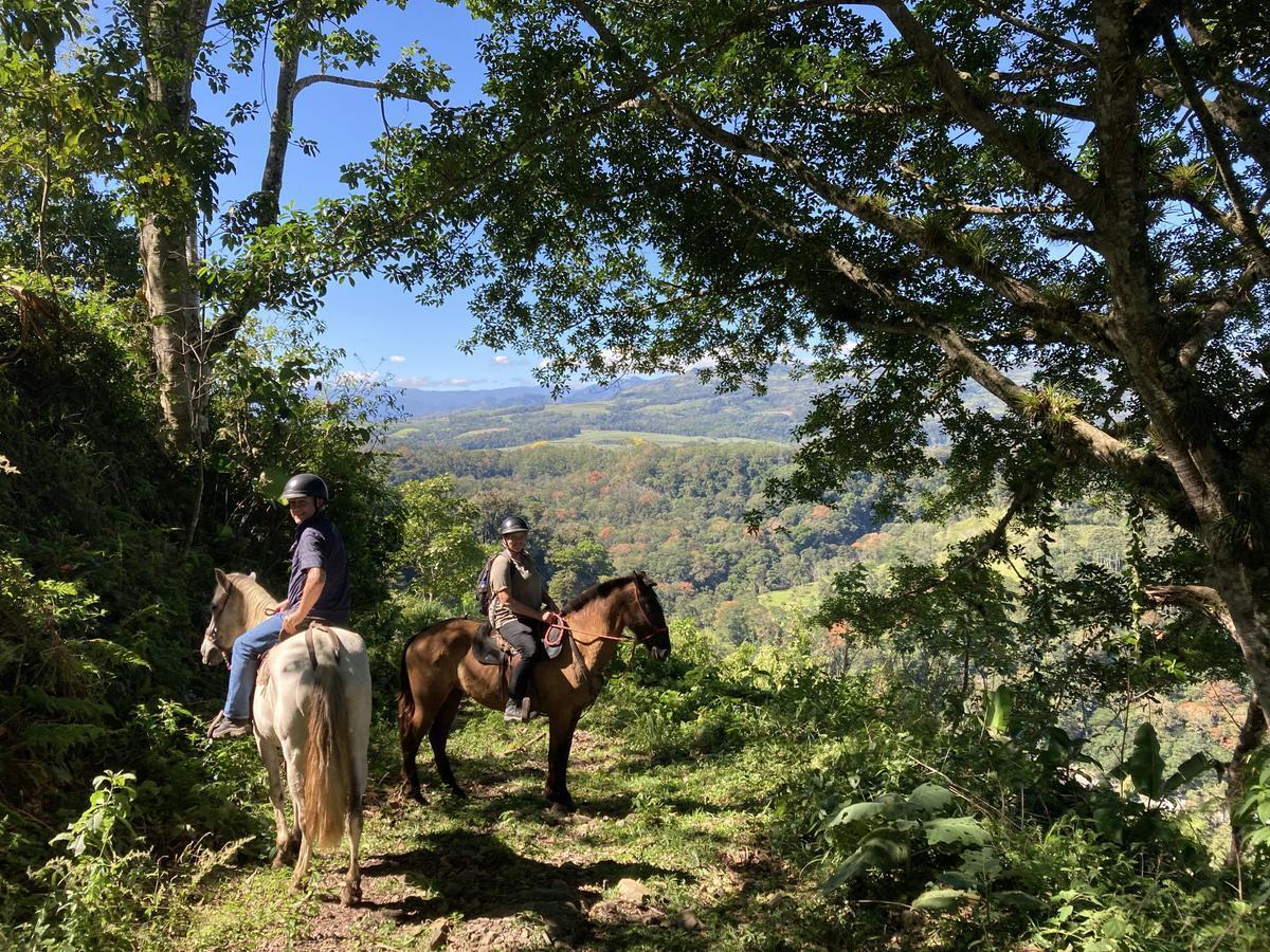Happy women riding horses