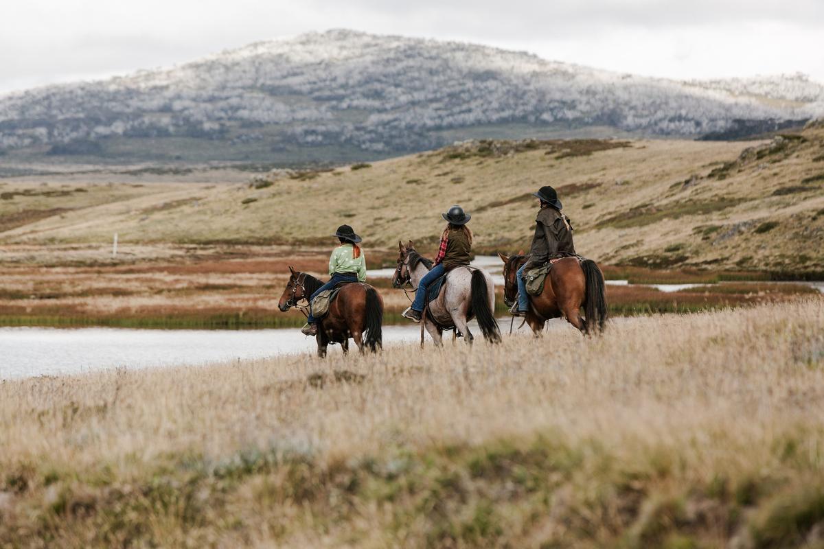 Riders on horseback at the top of the mountain