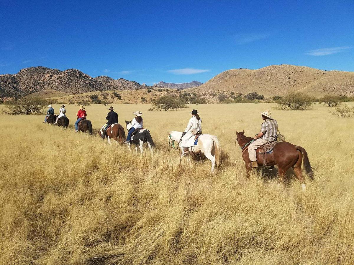 A group of tourists on horseback
