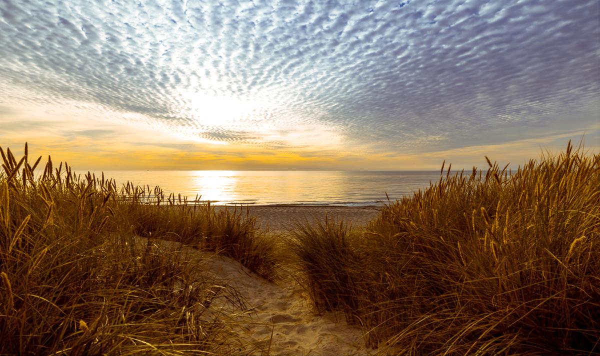 Осень в дюнах Куршской косы