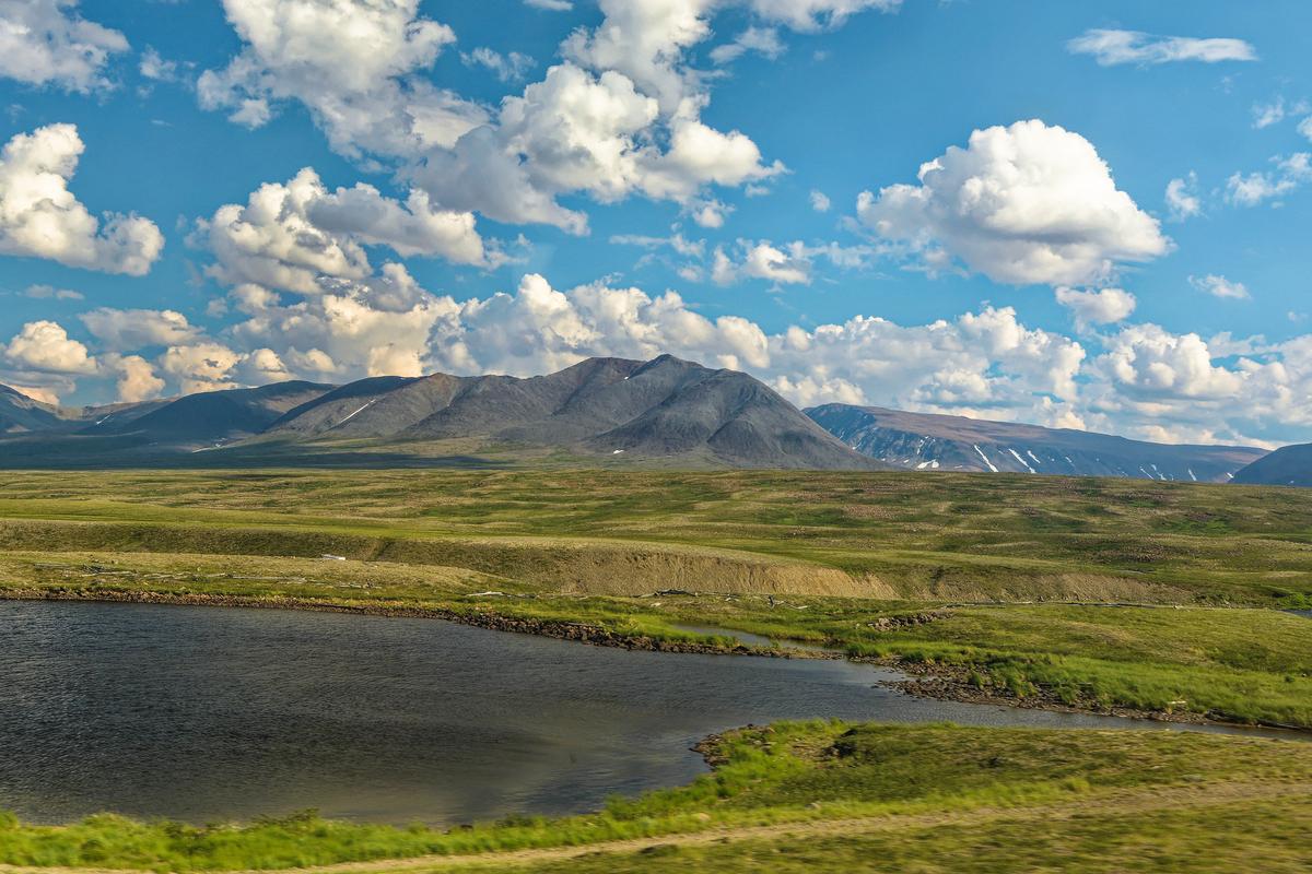 Тундра в пригорьях Полярного Урала