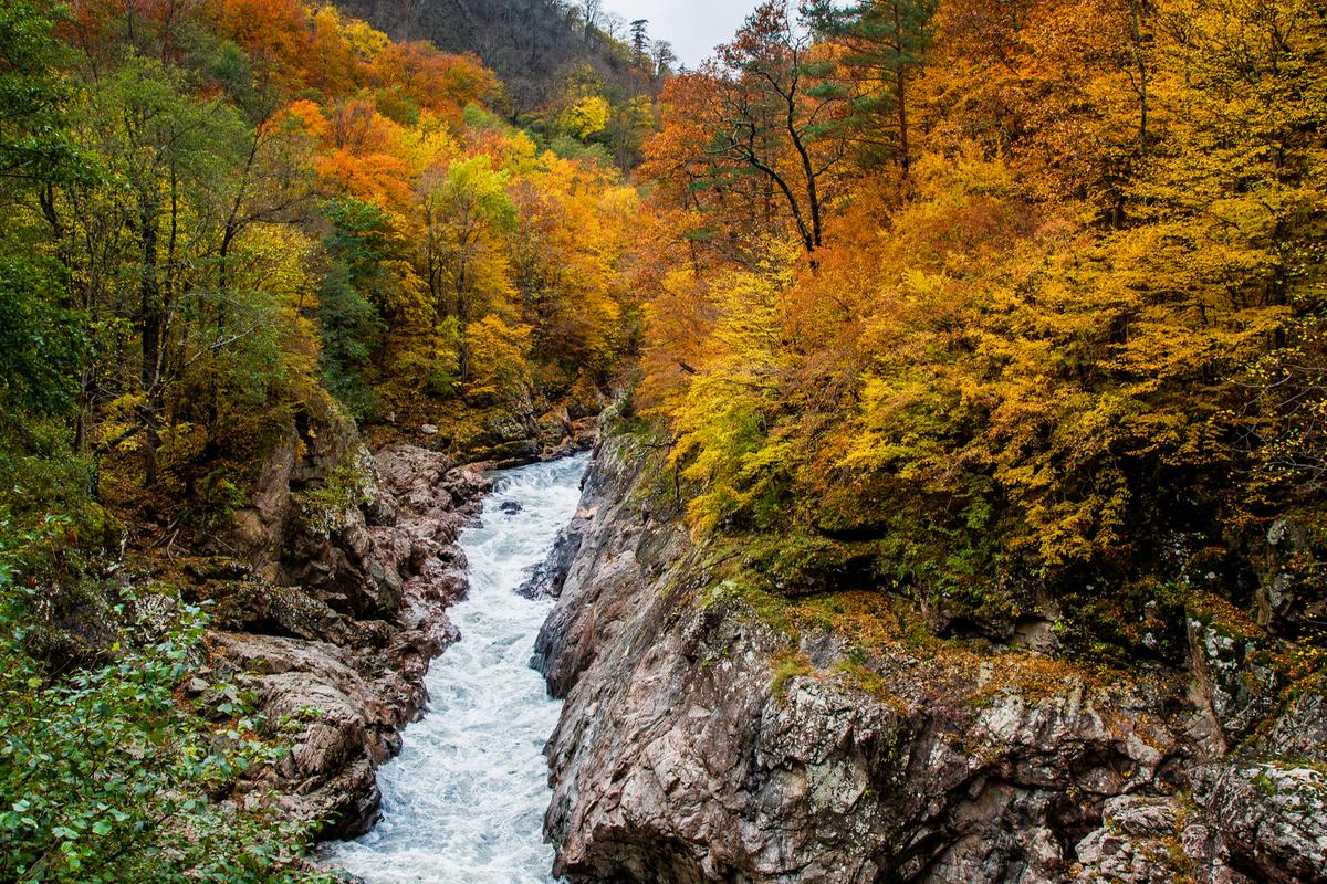Река Белая осенью