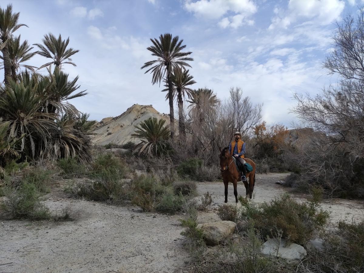 A man riding a horse in the desert of Tabernas