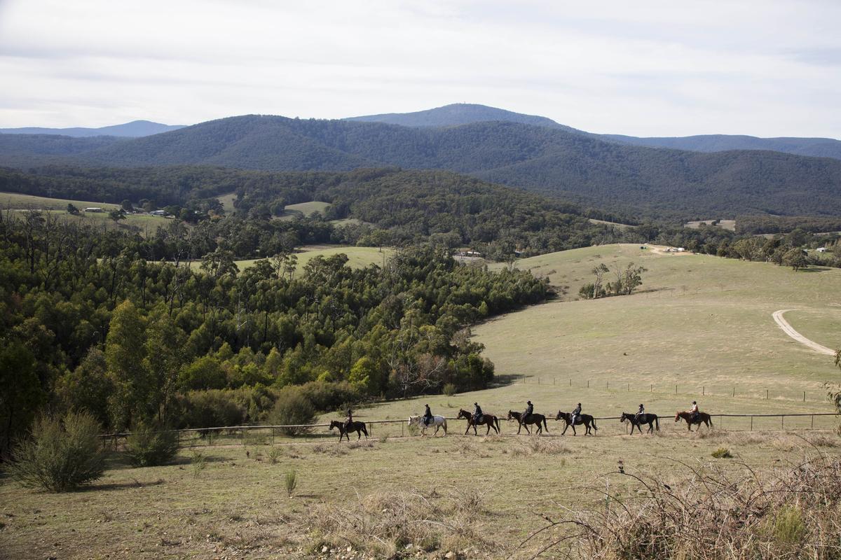 A group on horseback and the Australian landscape