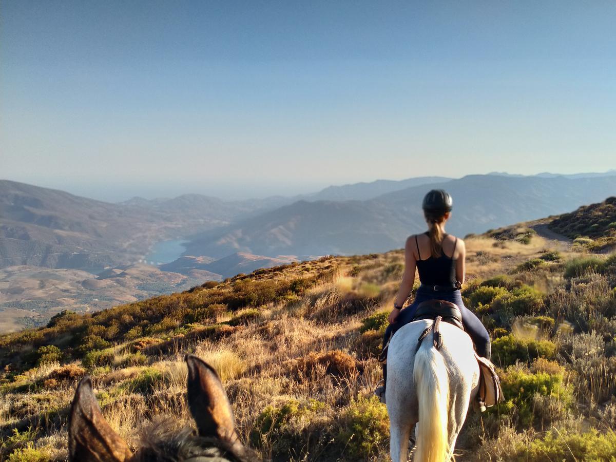 Horseback riding in the mountains of Spain