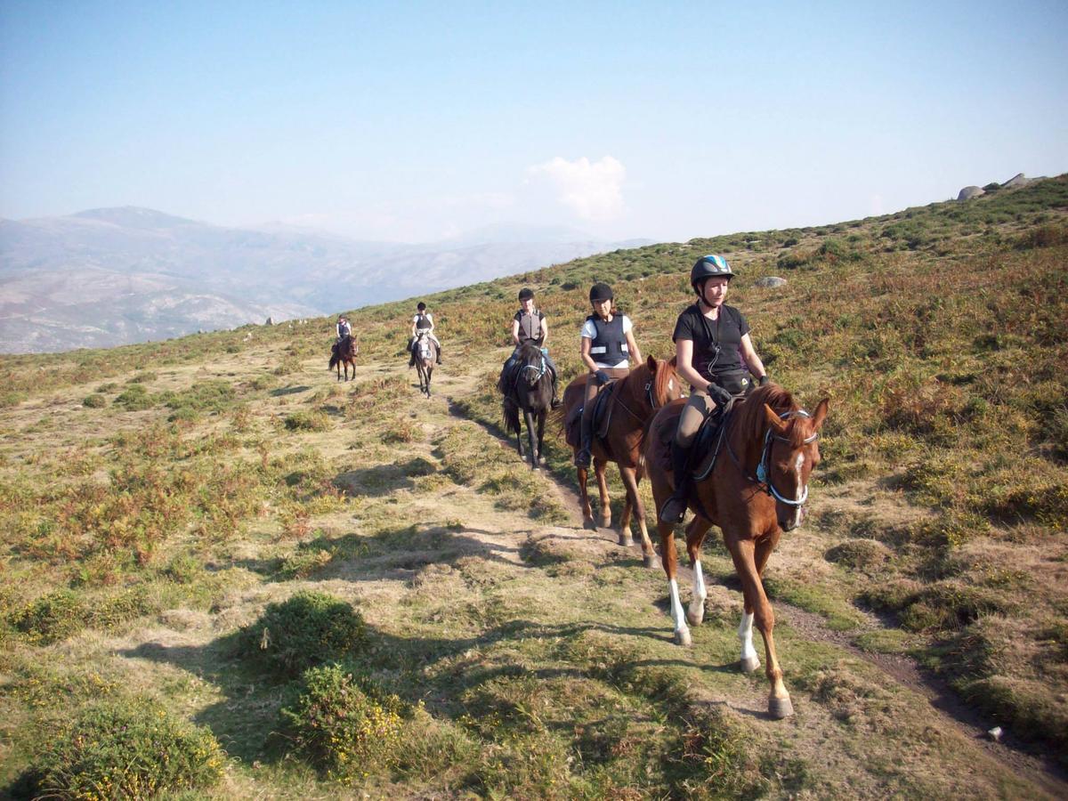 Group of Tourists on Horseback in the Mountains of Portugal