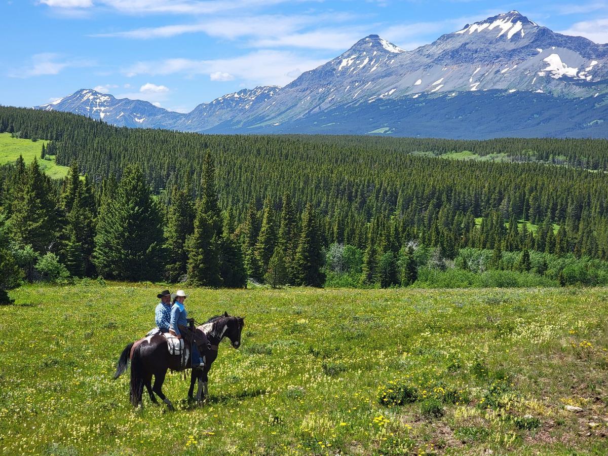 Tourists riding horses in the mountains of North America