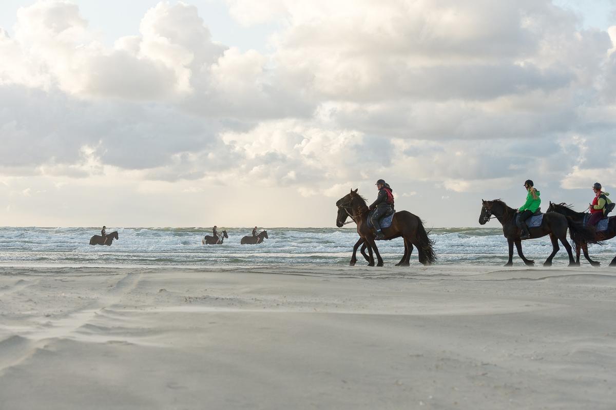 A group of horse riders on the beach of Terschelling Island