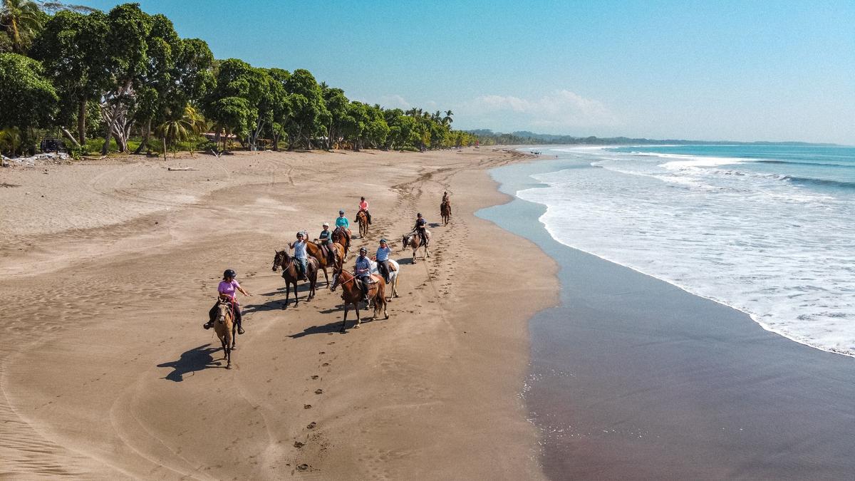 A group of people riding horses on top of a sandy beach