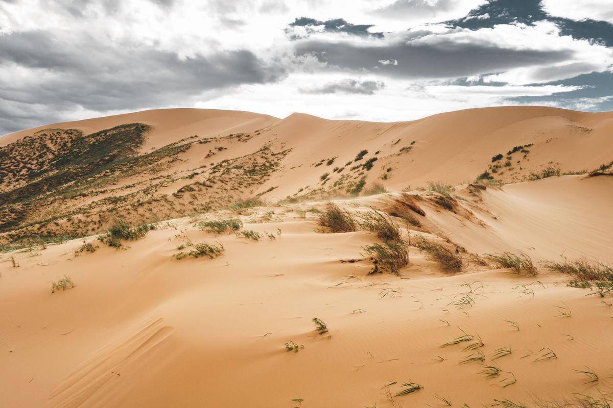Бархан Сарыкум в Дагестане