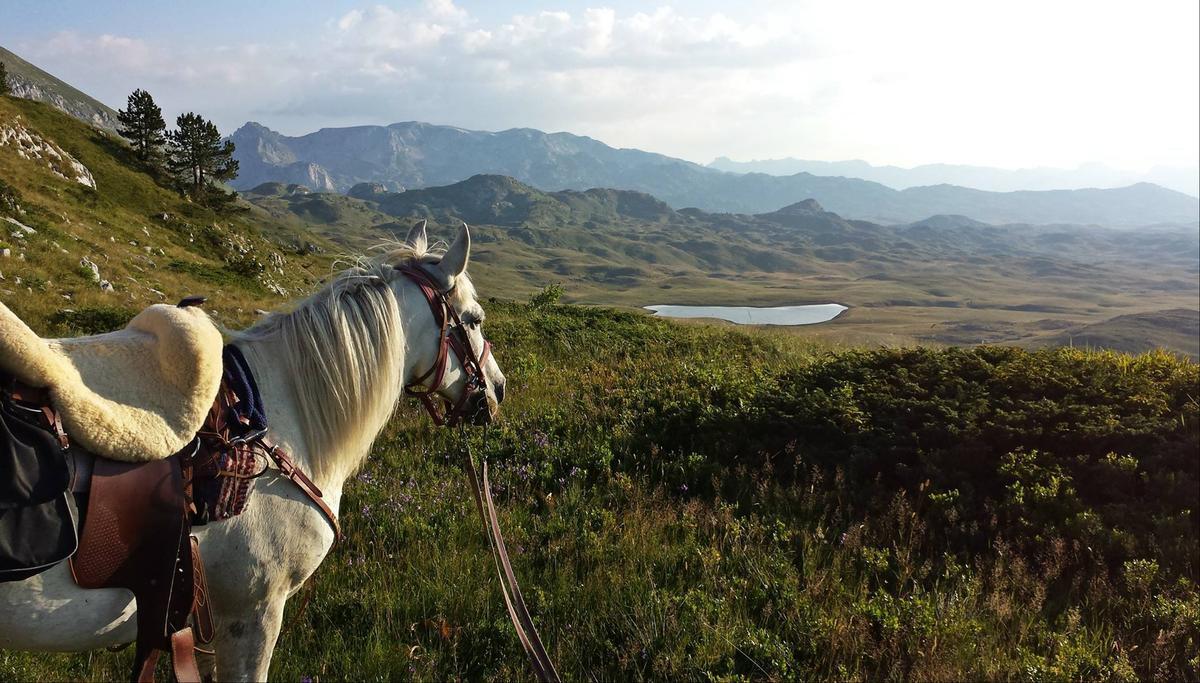Horse and landscape of Montenegro