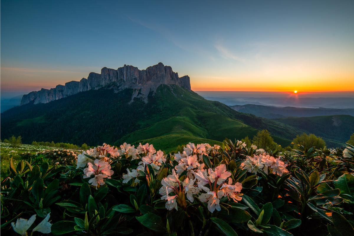 Цветение на фоне горы Большой Тхач