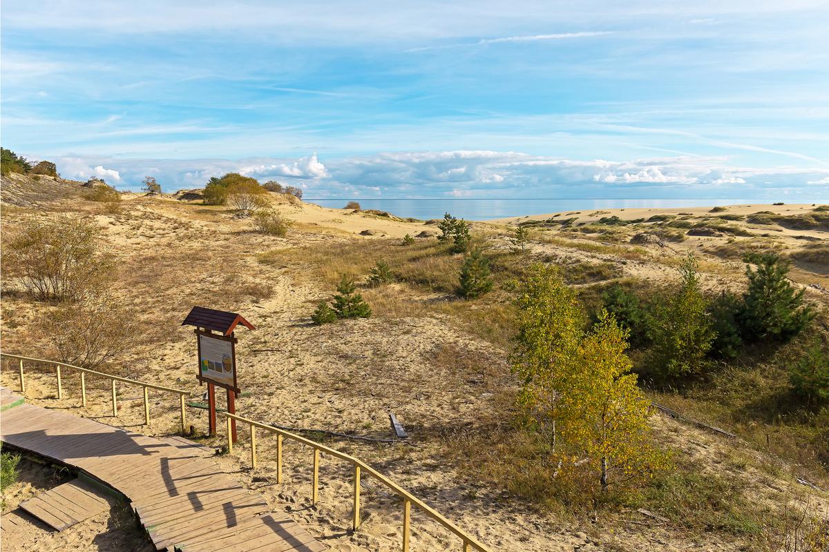 Песчаные дюны Куршской косы
