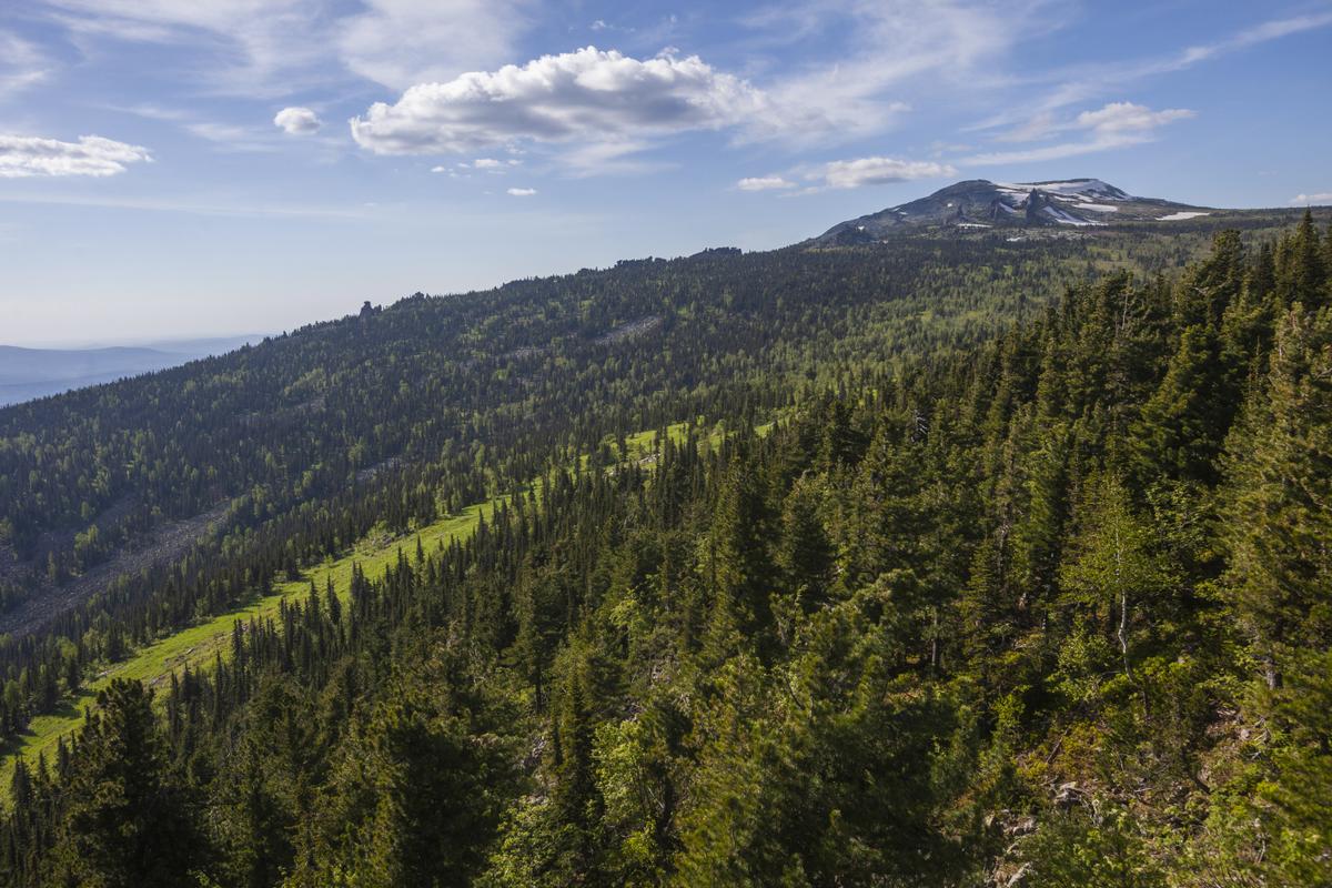 Горная Шория